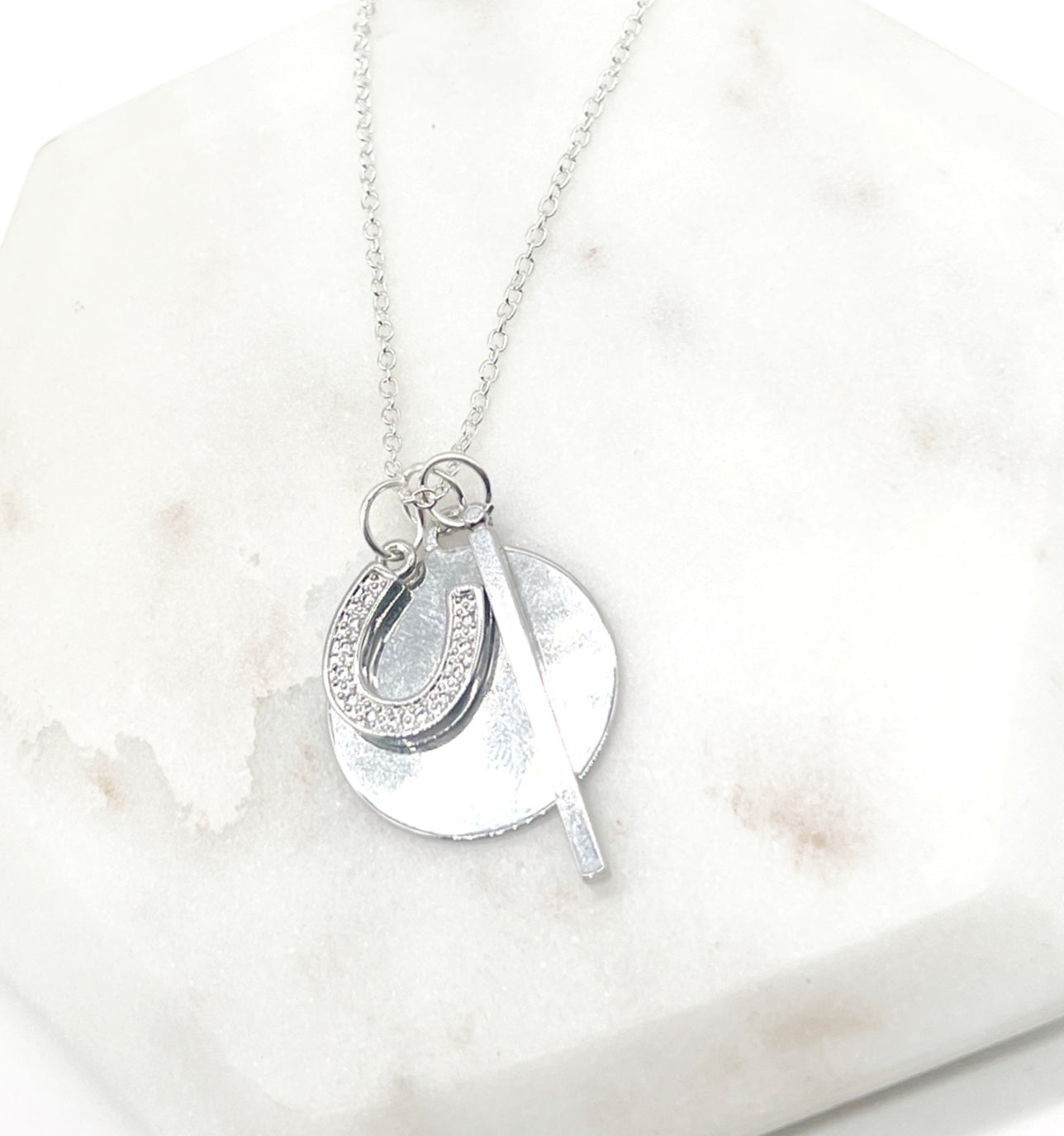 Silver Horseshoe Disc Necklace